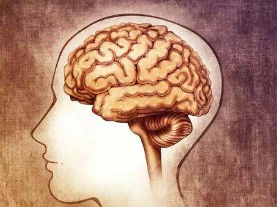 焊接香蕉黄色电影-霧霾使大腦遲鈍